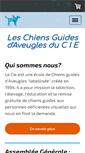 Mobile Screenshot of chienguide-cie.fr